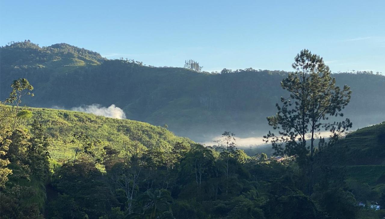 Arte de Plumas birding lodge Cartago Exterior foto