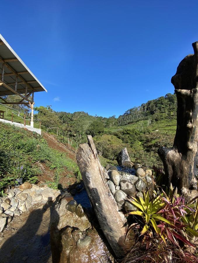 Arte de Plumas birding lodge Cartago Exterior foto