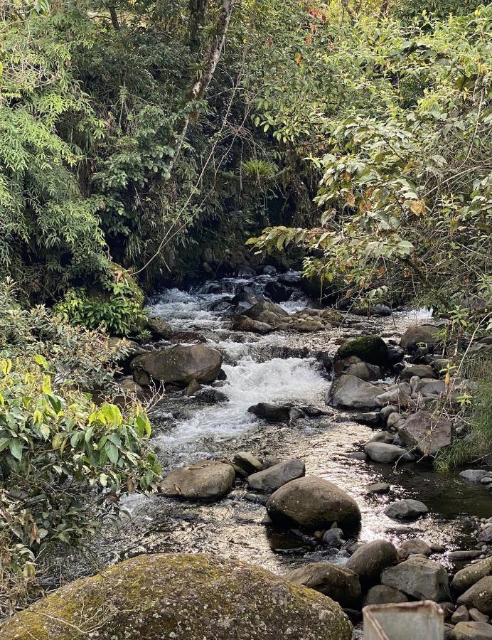 Arte de Plumas birding lodge Cartago Exterior foto