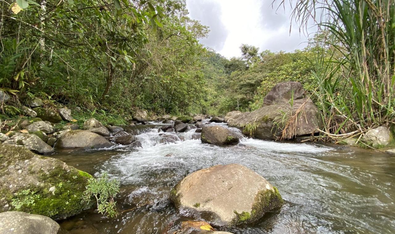 Arte de Plumas birding lodge Cartago Exterior foto